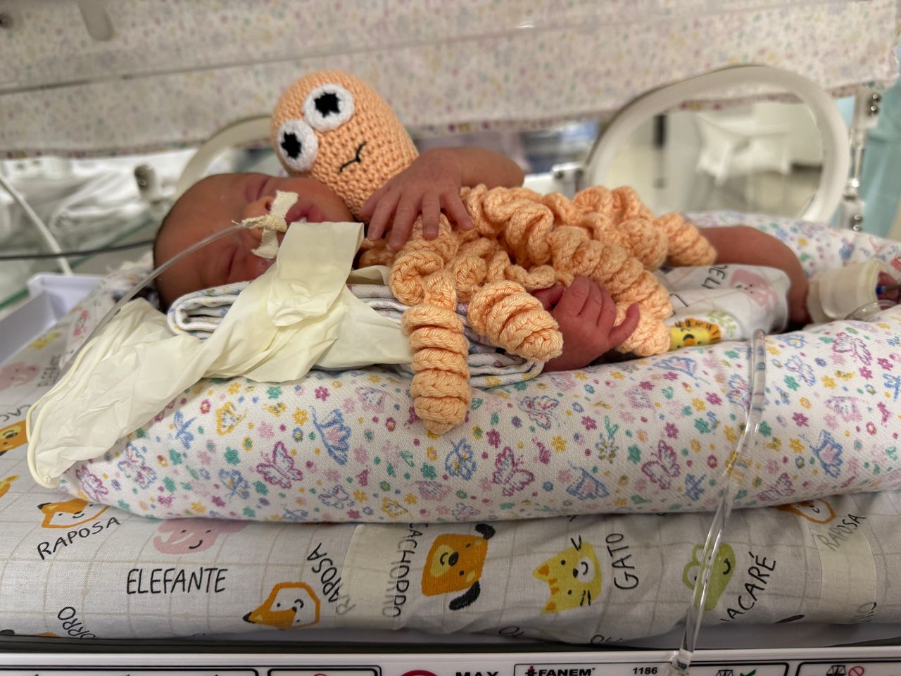 Daniella Cristina Demes-29