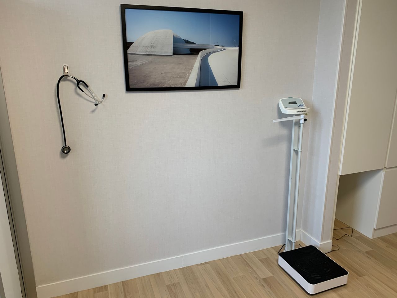 Angelo Bustani Loss-7