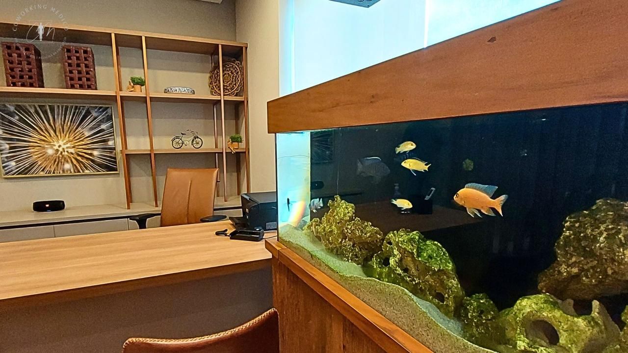 Rafaela R. Marques-5