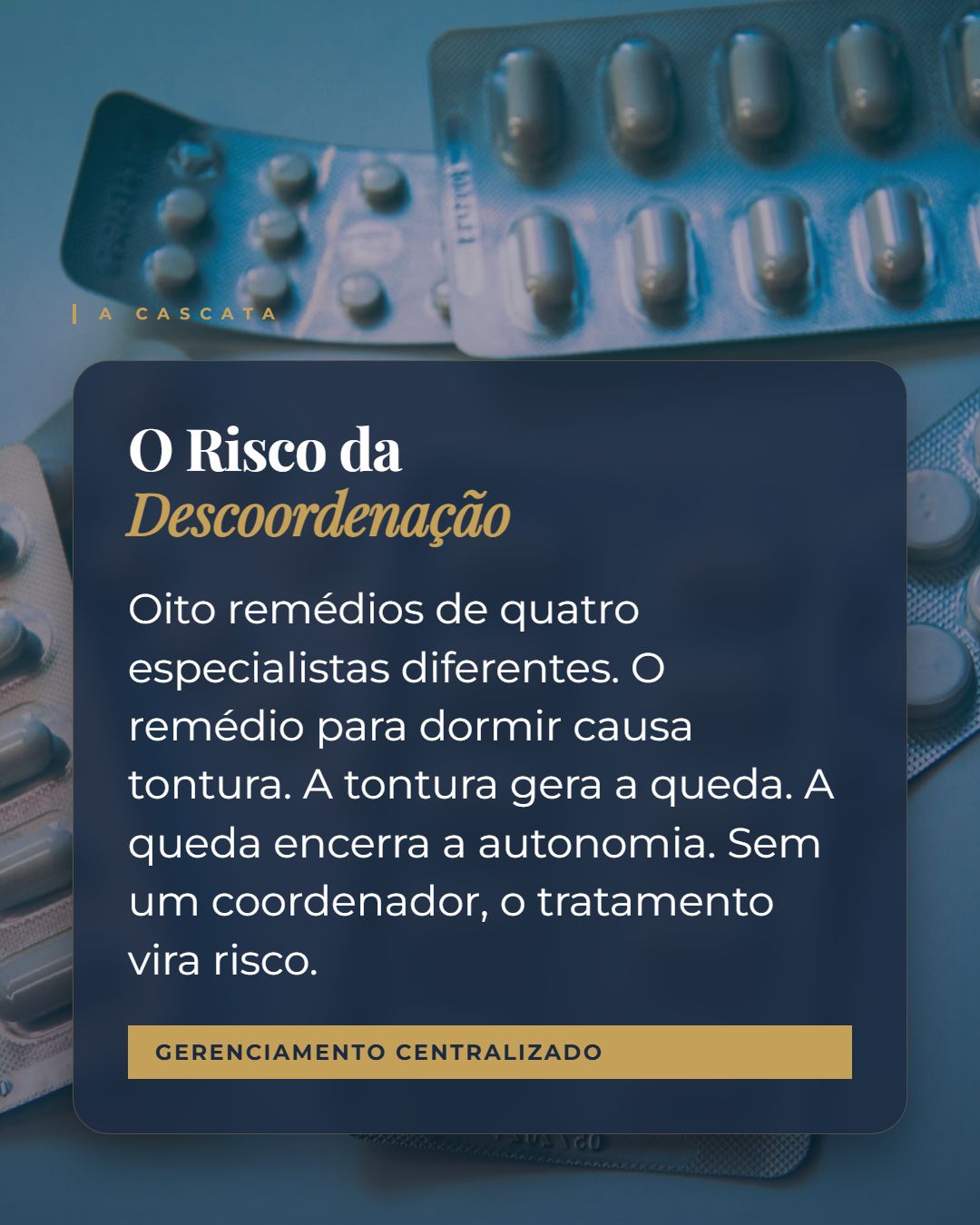 Paulo Meirelles-2