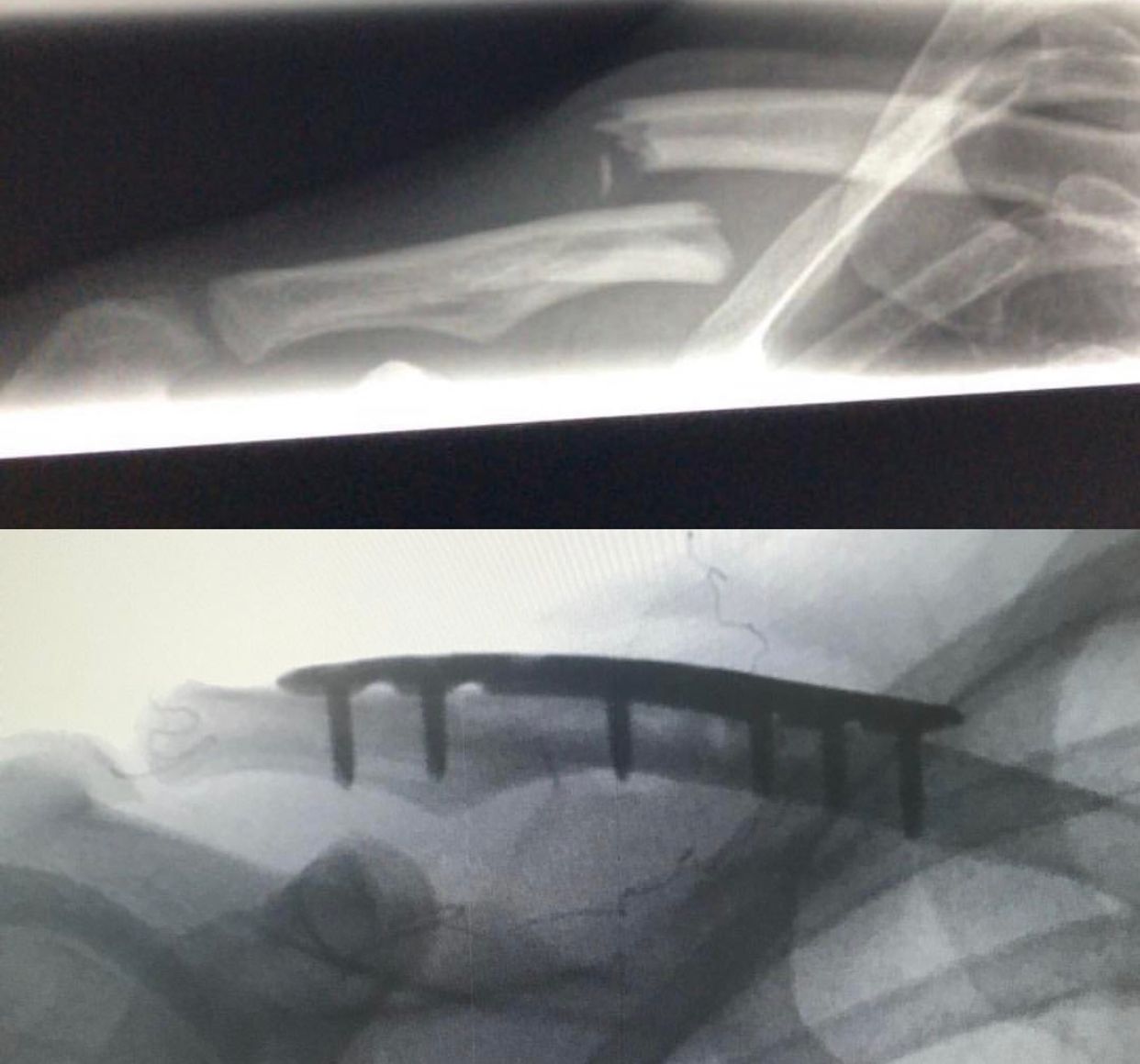 Rogerio Ribeiro Penna-4