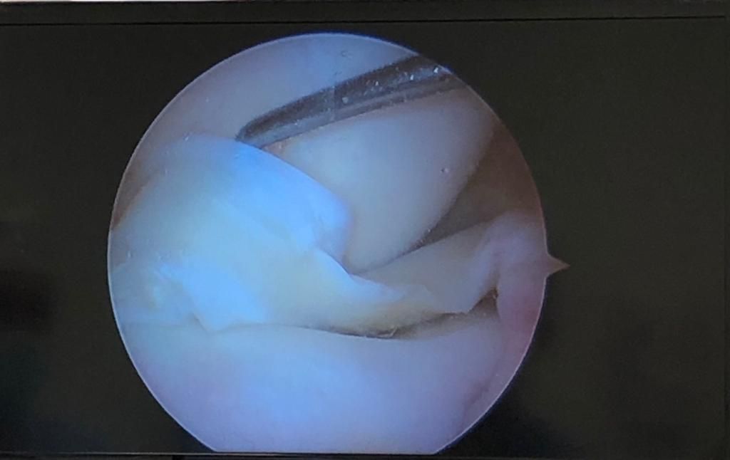 Eduardo Ramalho De Moraes-24