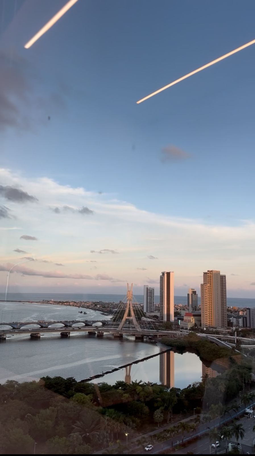 Paulo Sérgio Gomes Júnior-1