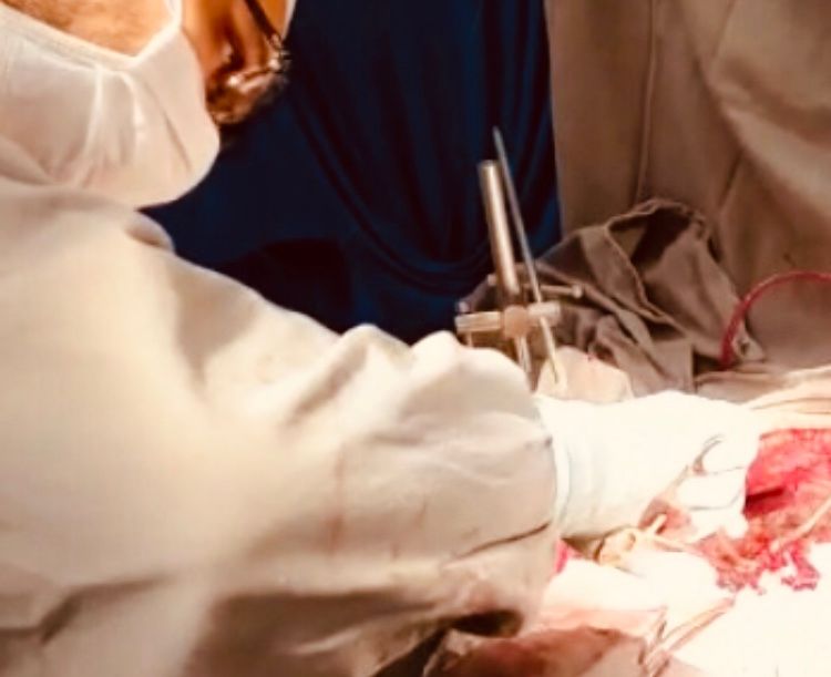 Enarco Grigolli Filho-9