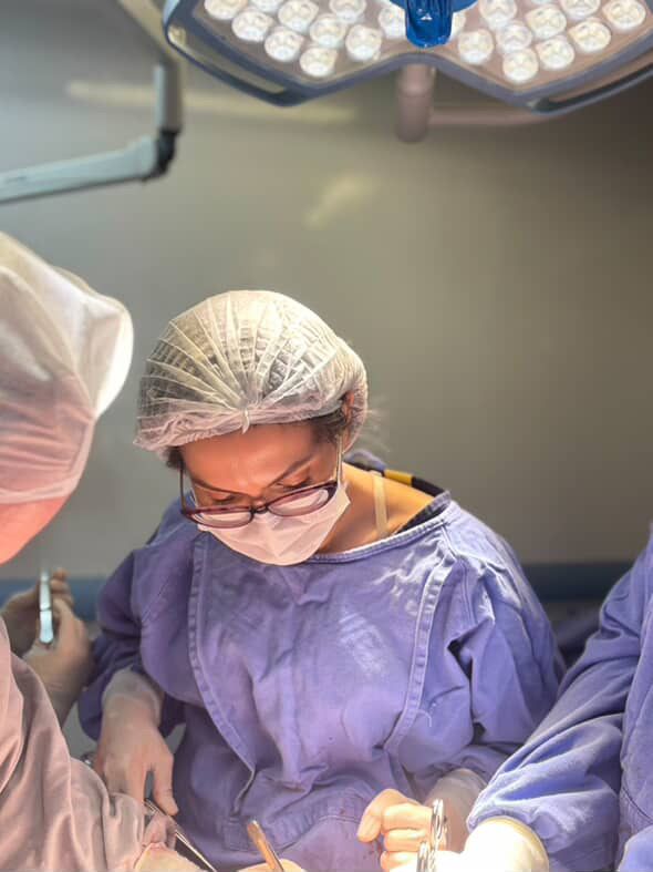 Dayara Sales Scheidt-2