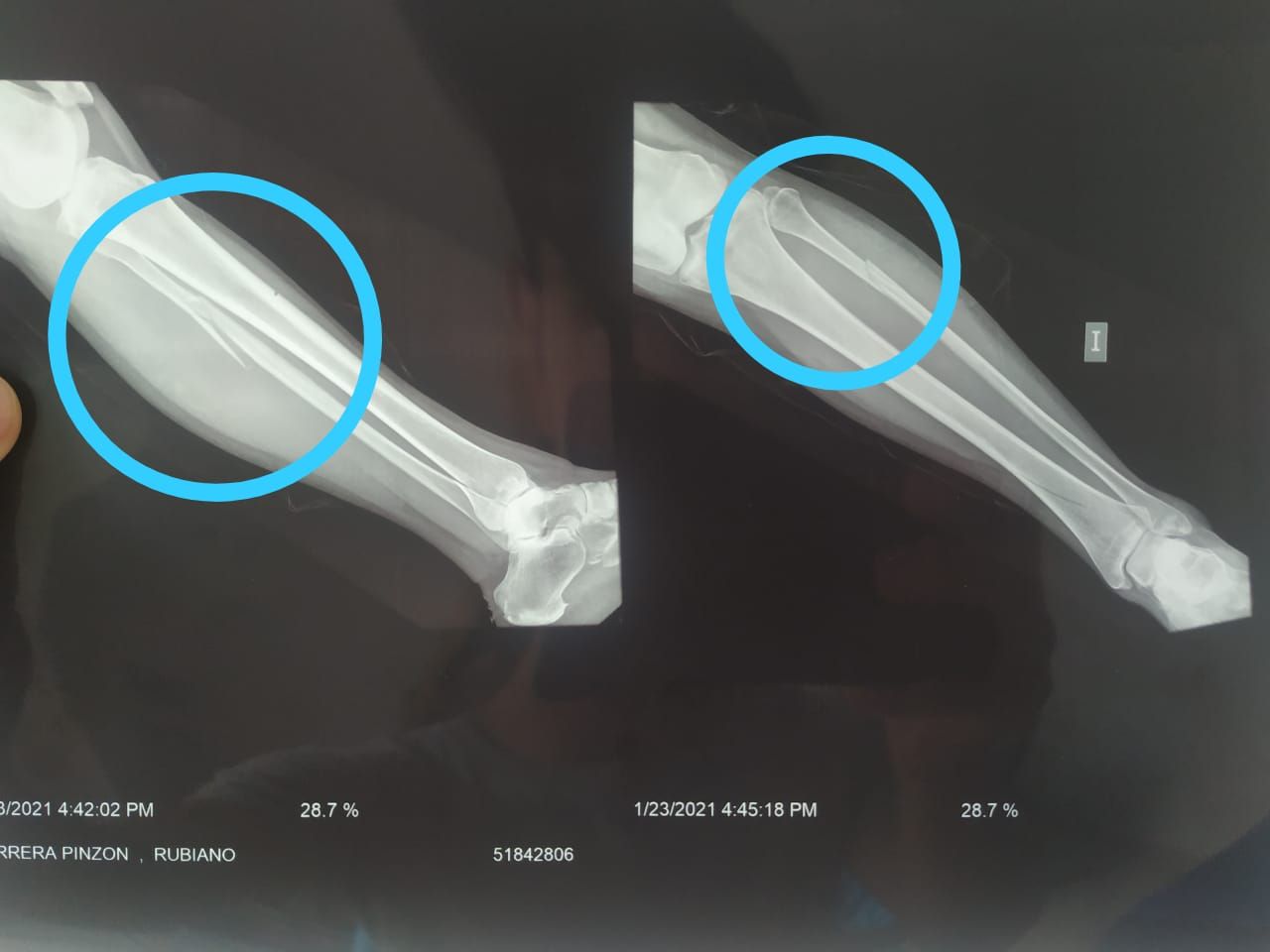 Luz Angela Murcia Camargo-40