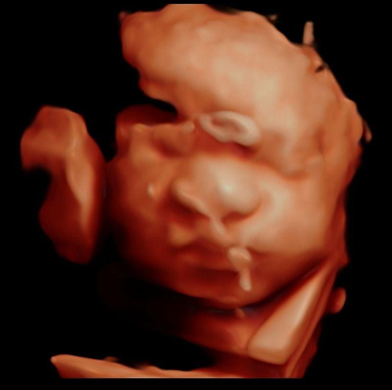 Cesar Vicente Albornoz Moreira-0