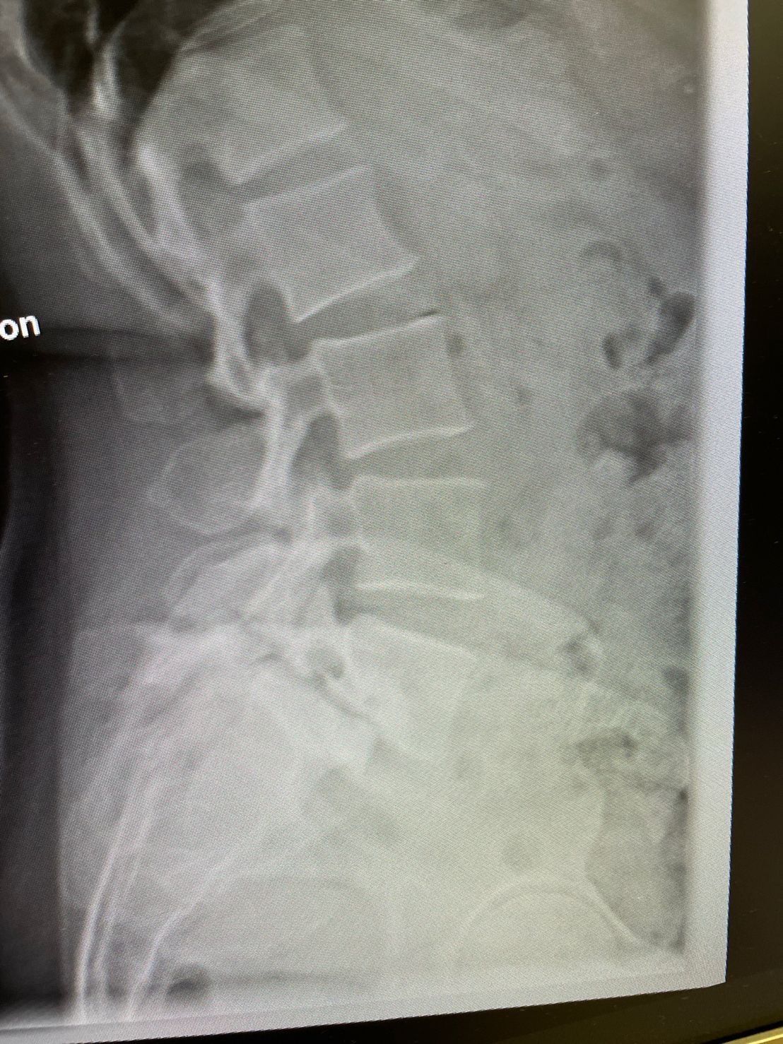 Ramiro Cieza Ojeda-9