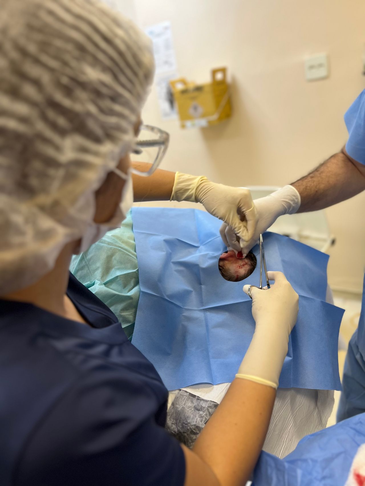 Drª Carolina  Candido Martinho-5