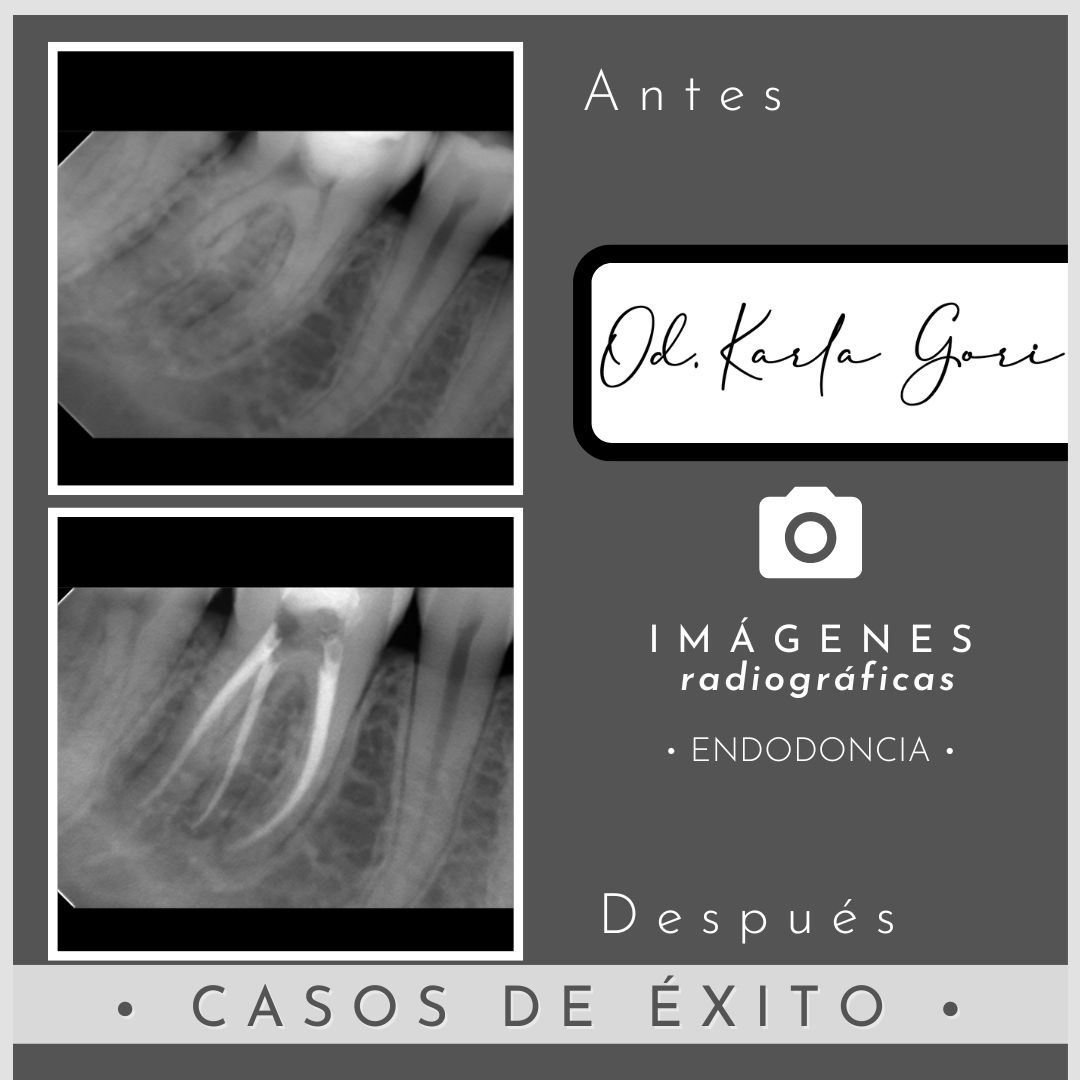 Karla Patricia Gori Romero-11