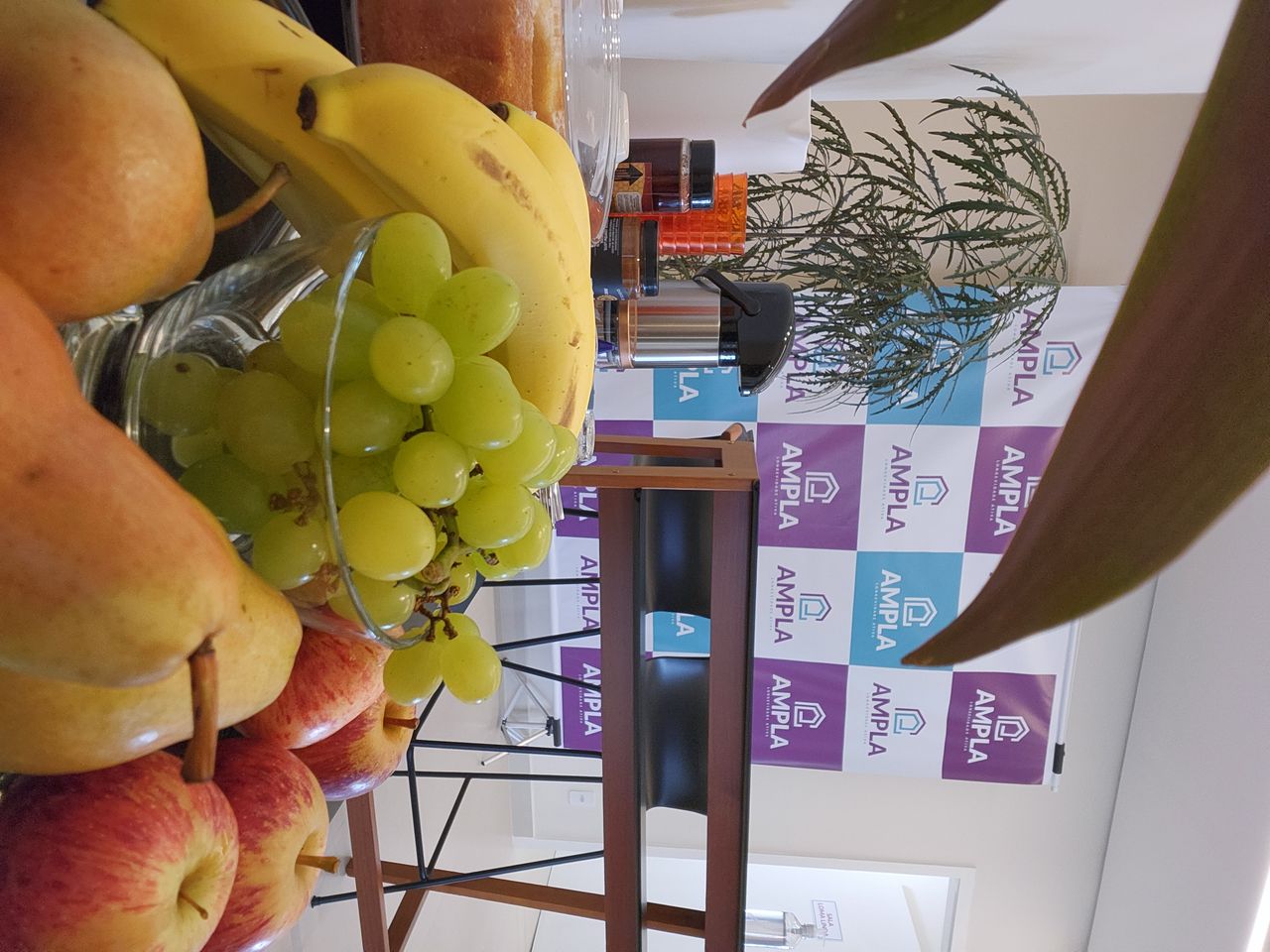 Pedro Maximink Esteves Villar-3