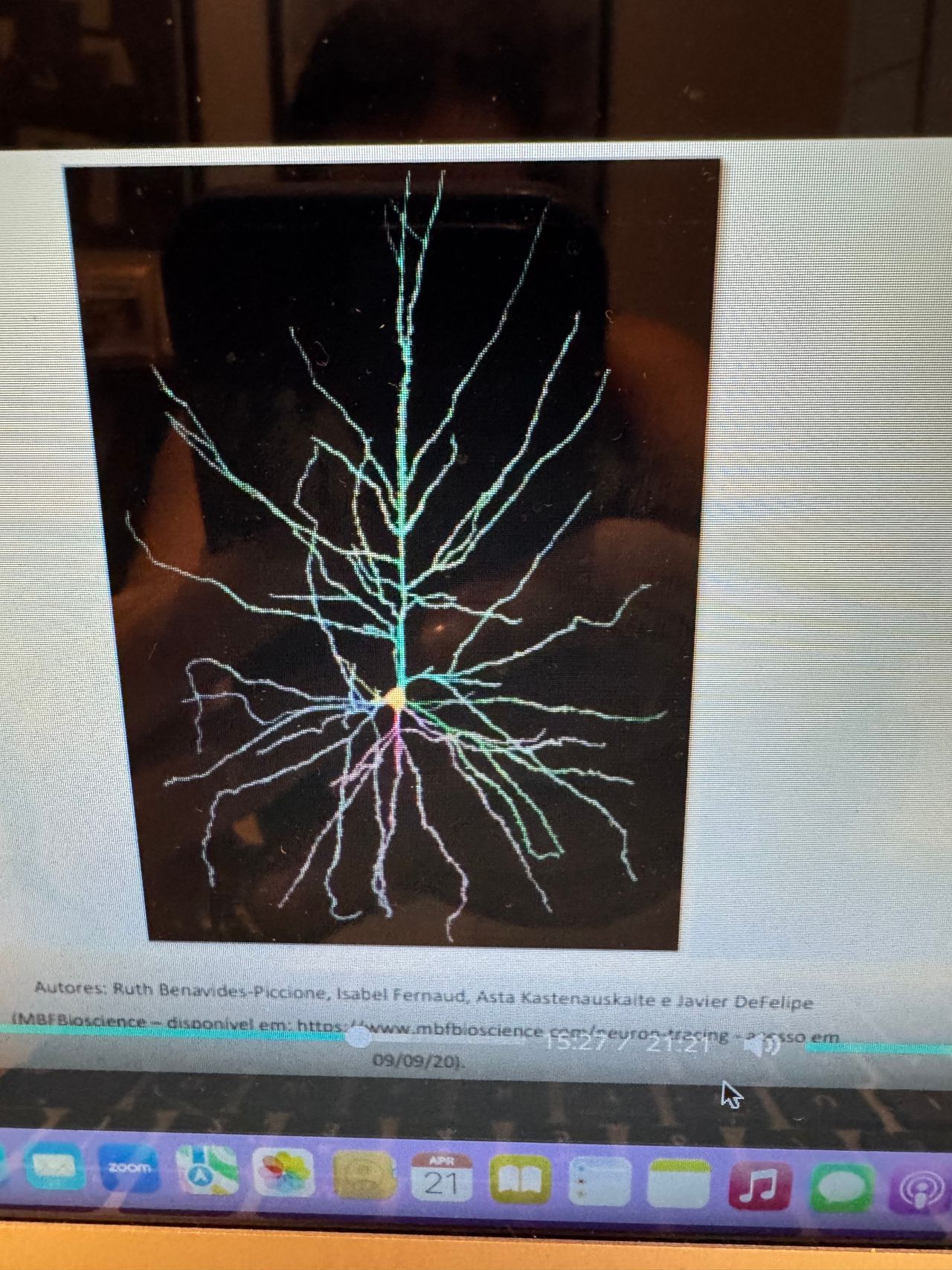 Marina Aparecida Lobarinhas Valente-5