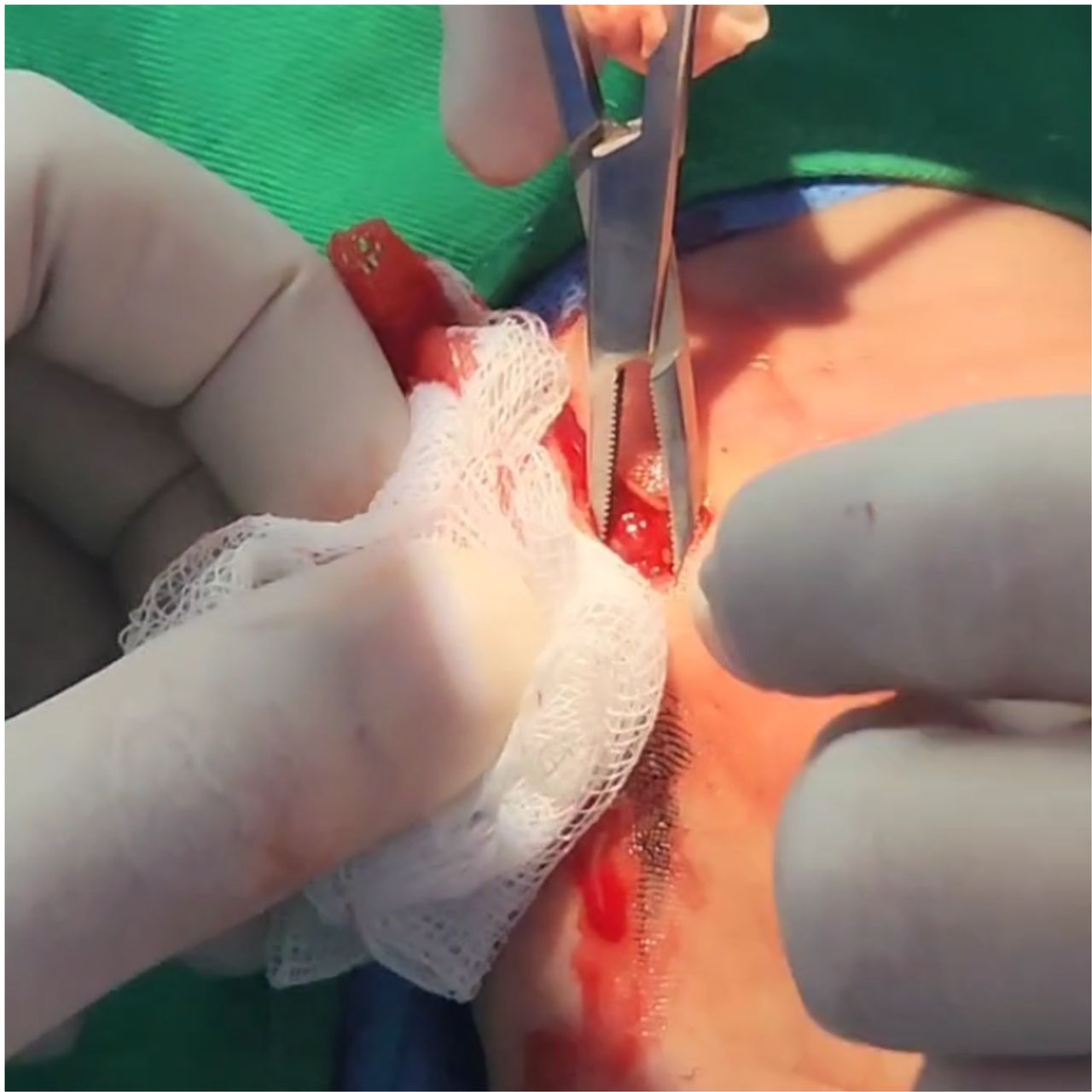 David Tafur Muñoz-1291