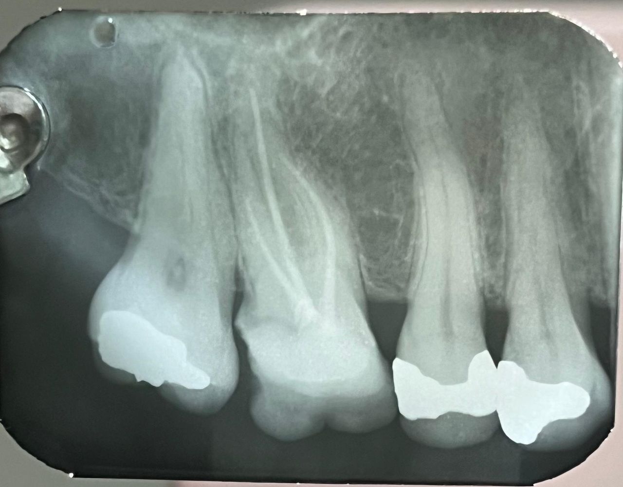  Máximo Joaquim  Calvo Villar Neto-3