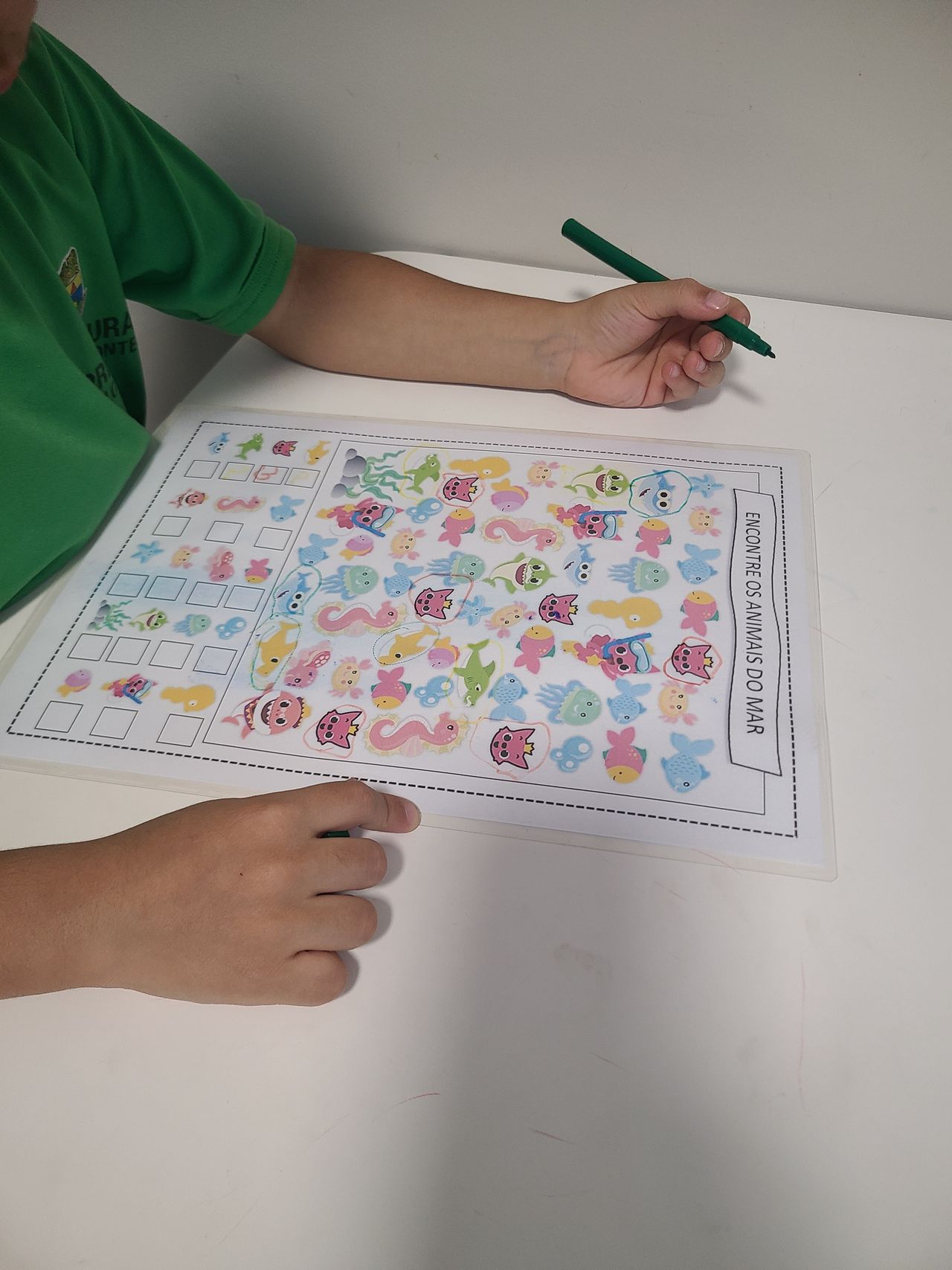 Josiane Aparecida  De Magalhães Almeida Santos-1