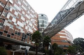 Alessandro Wasum Mariani-5