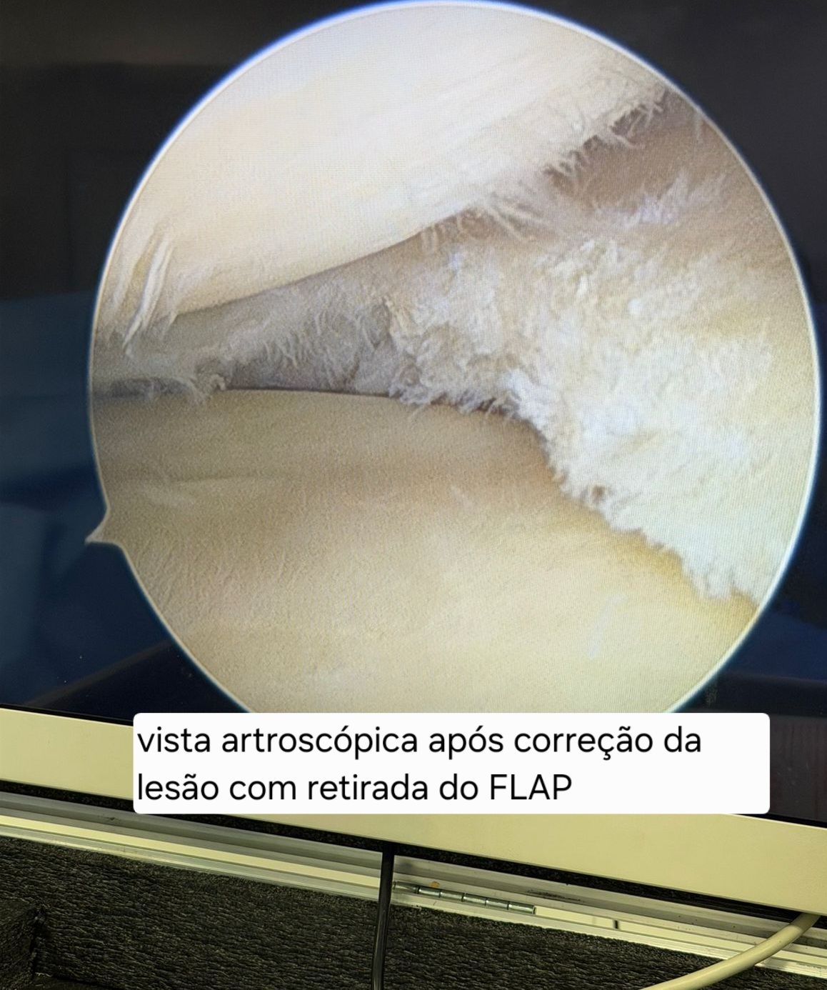 Leonardo Dias-1