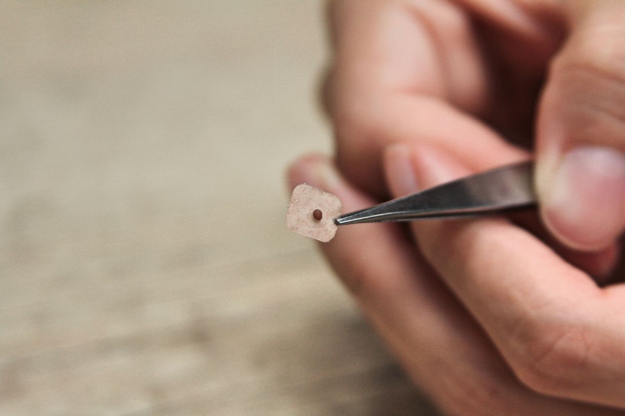 Camila Oliveira Lima-6