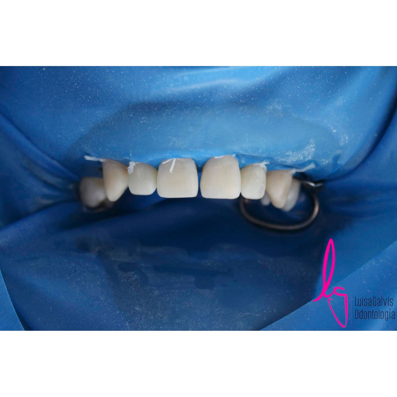 Luisa Fernanda Galvis Arcila-21