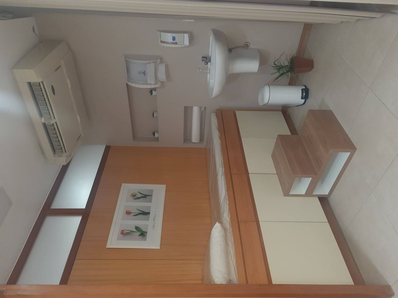 Danyelle Cristina De Souza-1