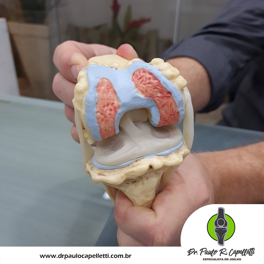 Paulo Roberto Capelletti-61