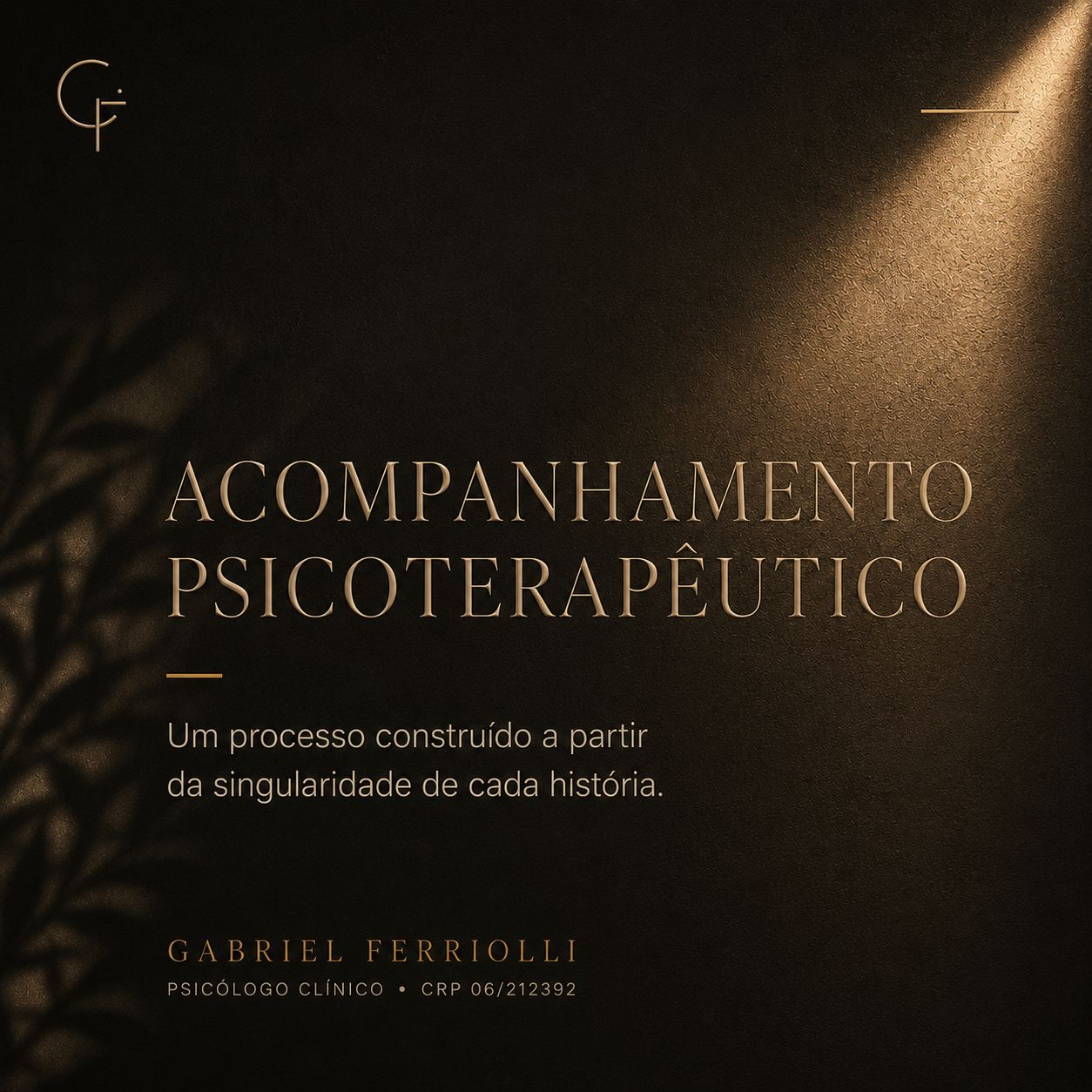 Gabriel Ferriolli -5