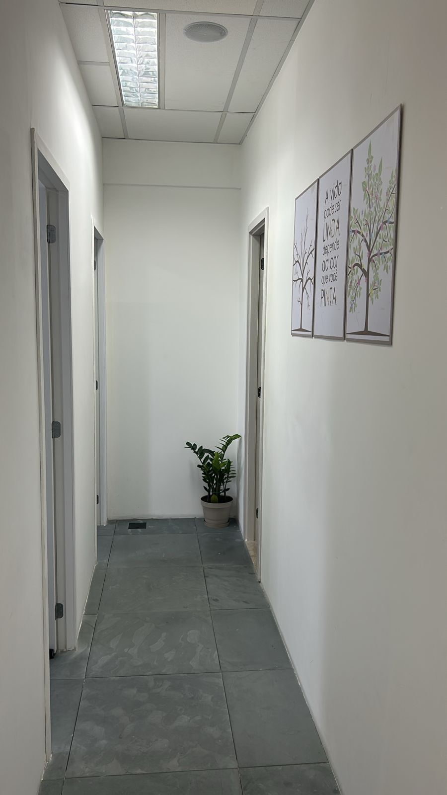 Fernanda  Martins De Souza-3