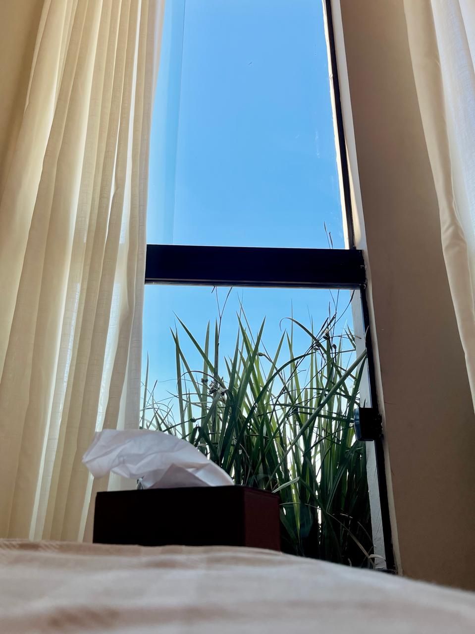 Alana Welker Gregório-14