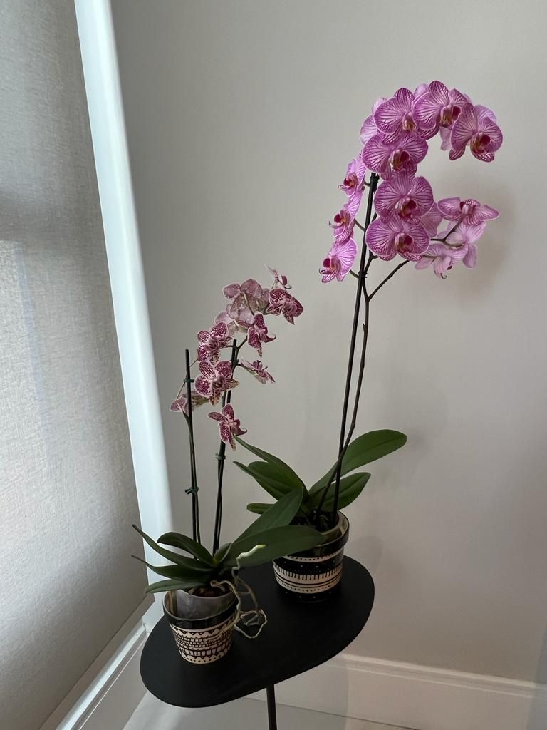 Antonio Carlos Passos Martins-3