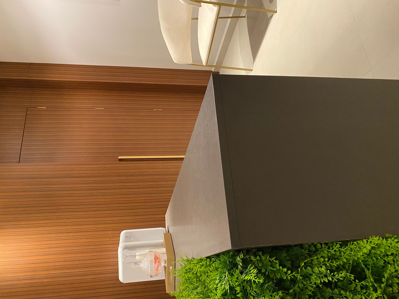 Odemir Luiz Bordin Júnior-2