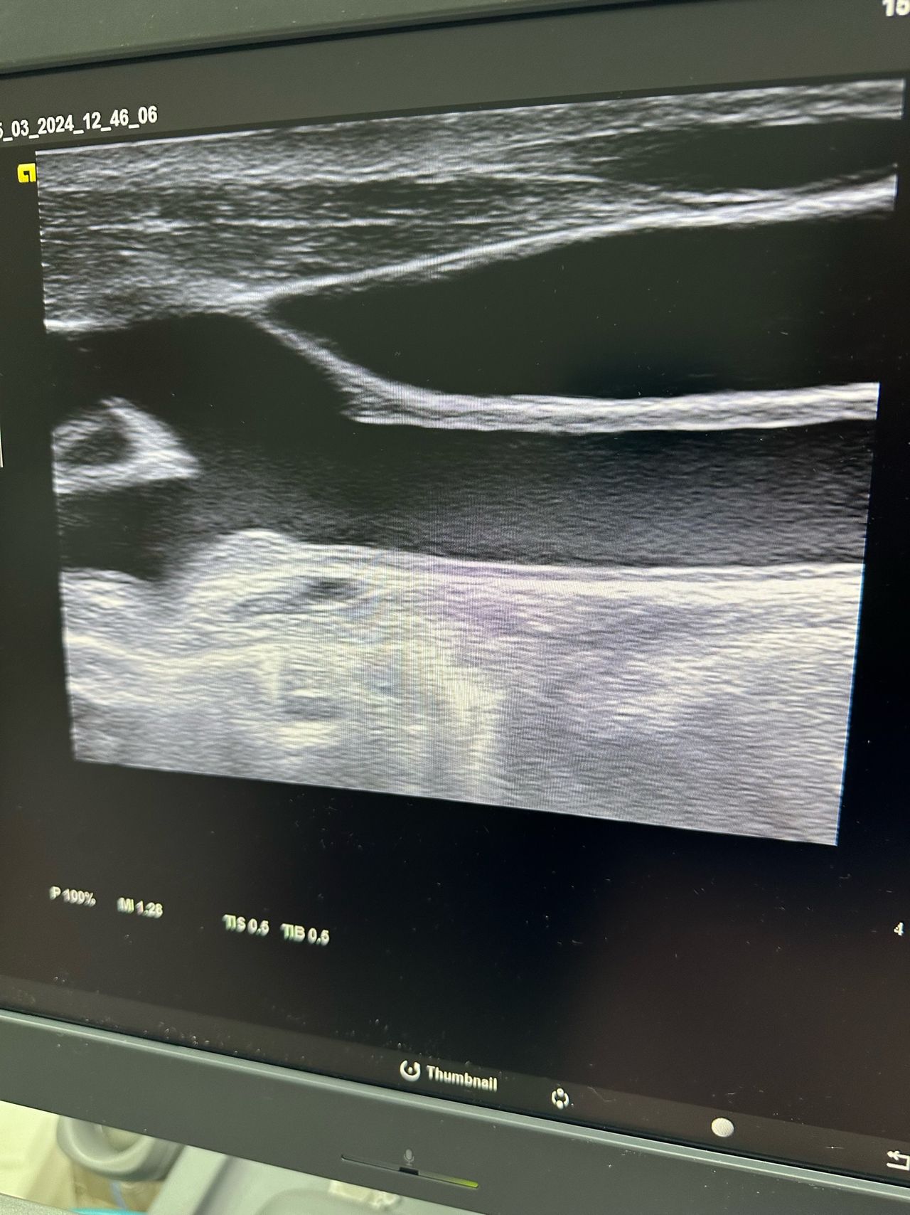 Bruna Campos  Oliveira-5