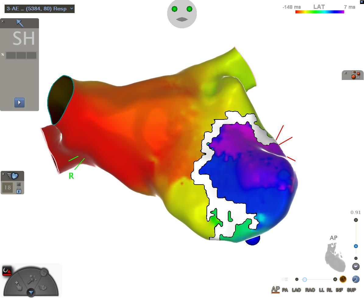 Vitor Bastos Lovisi-11