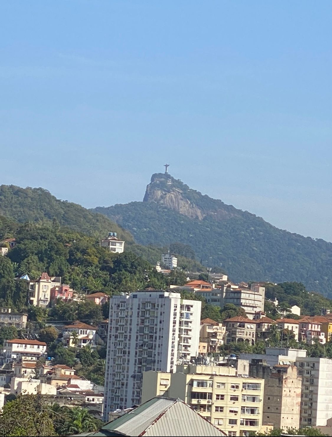 Luiz Antonio Benchimol Mororo-6