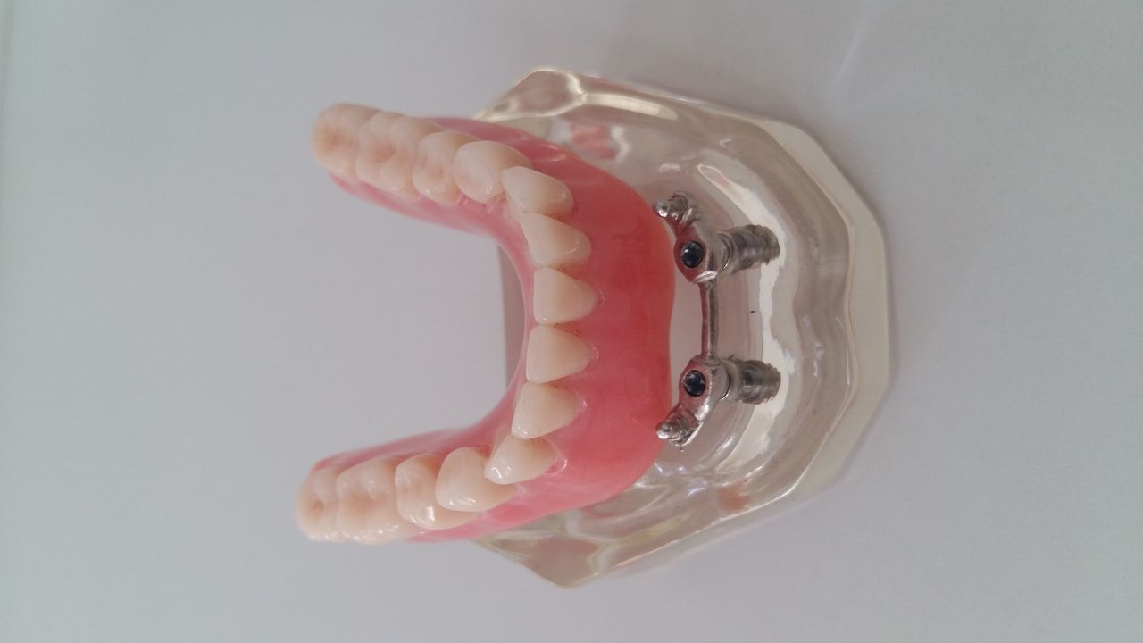 Patricia Christine Pinto-11