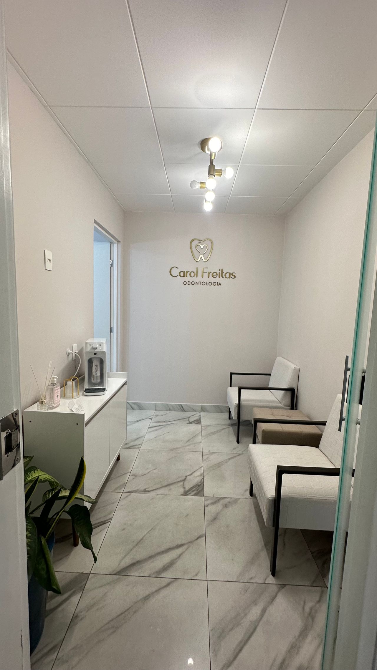 Ana Carolina  Silva E Freitas-4