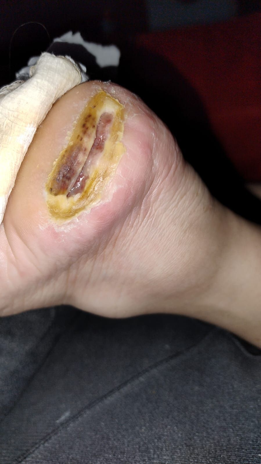 Claudia Motta Mussi-1