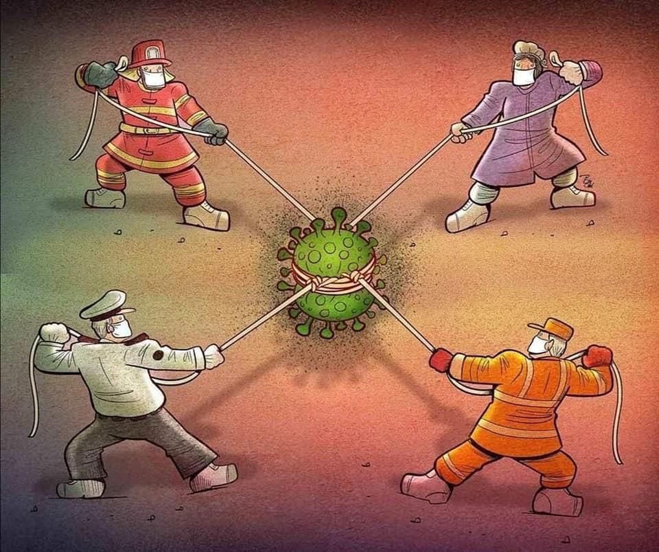 José Milton Cardoso Jr-10