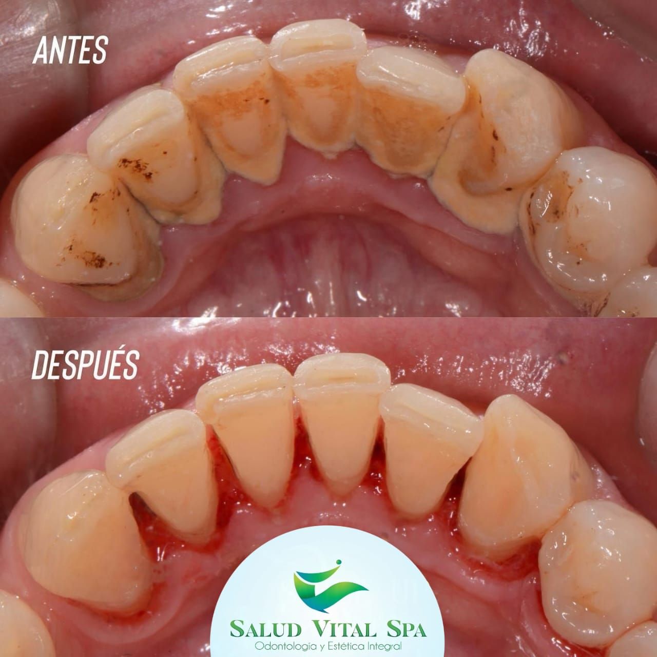 Julio Cesar Quintero Leon-3