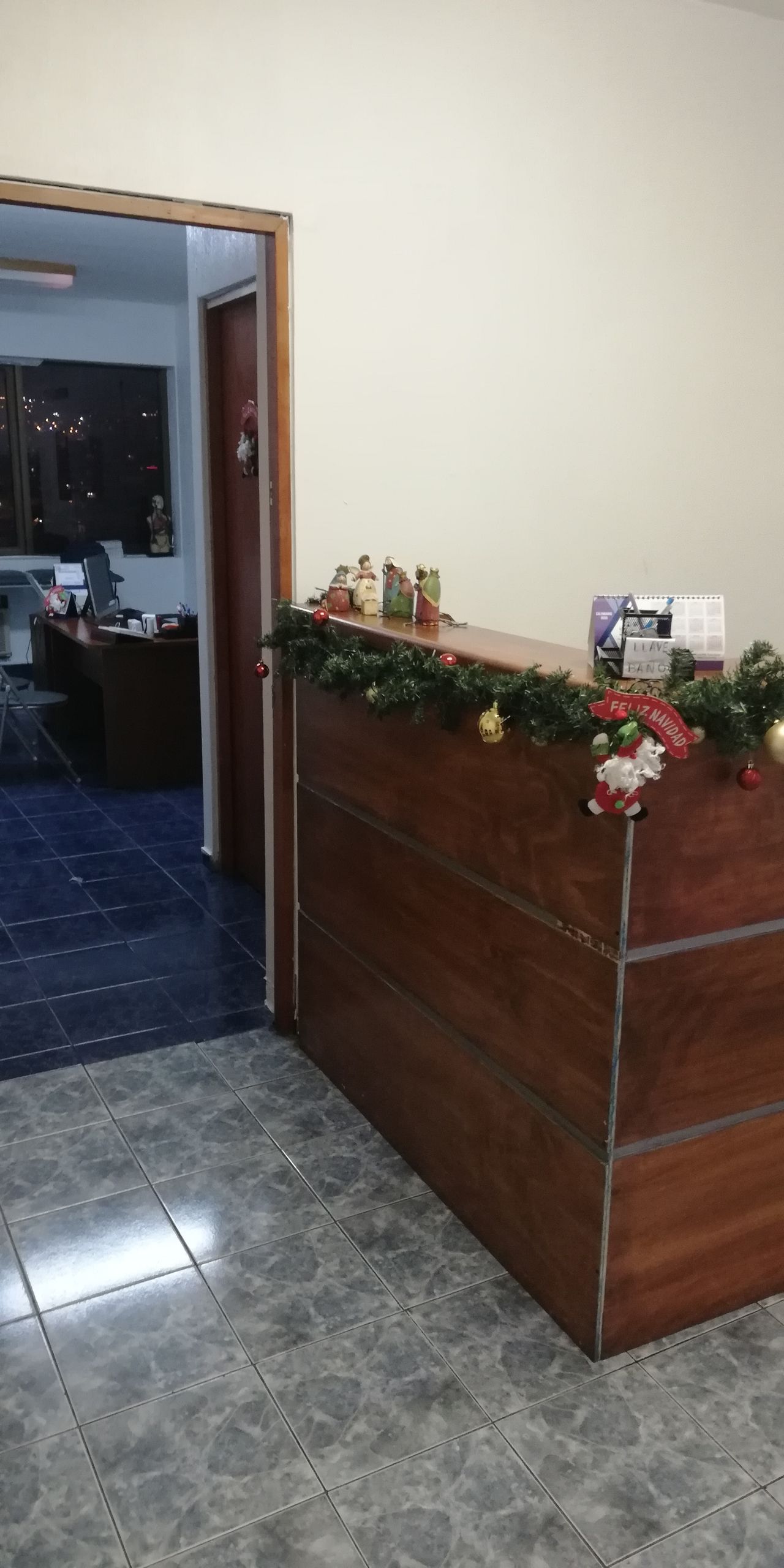 Cristian Sidney Salas Rojas-22