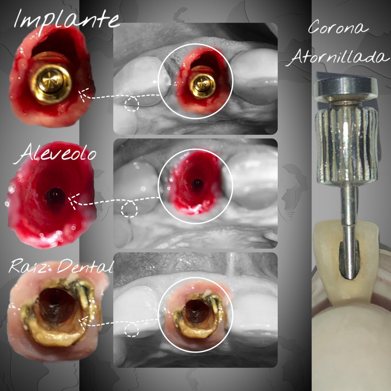 Jose Fernando Fragozo Mendoza-9