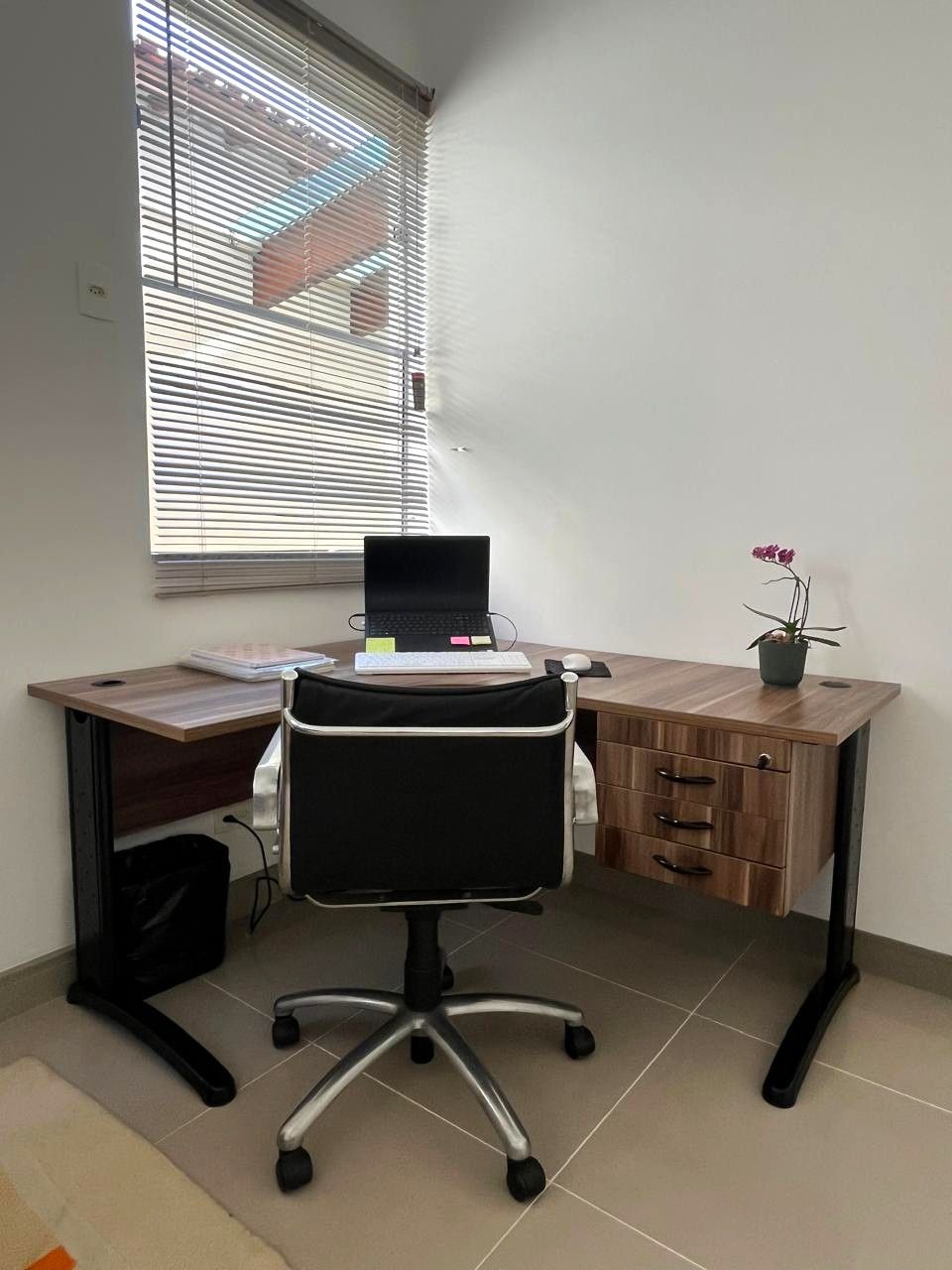 Claudia Cecilia Daniel-4