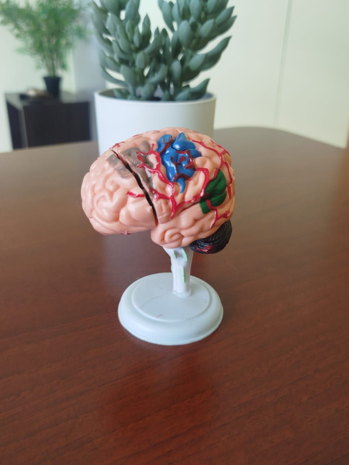 Alejandra Saa Bracamonte-1