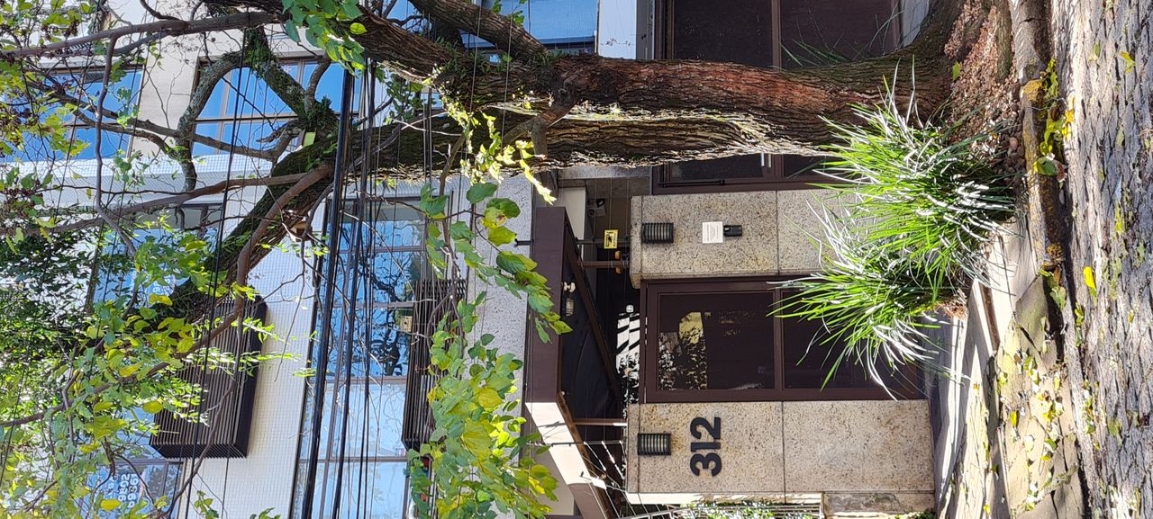 Maria Dolores Bressan-0