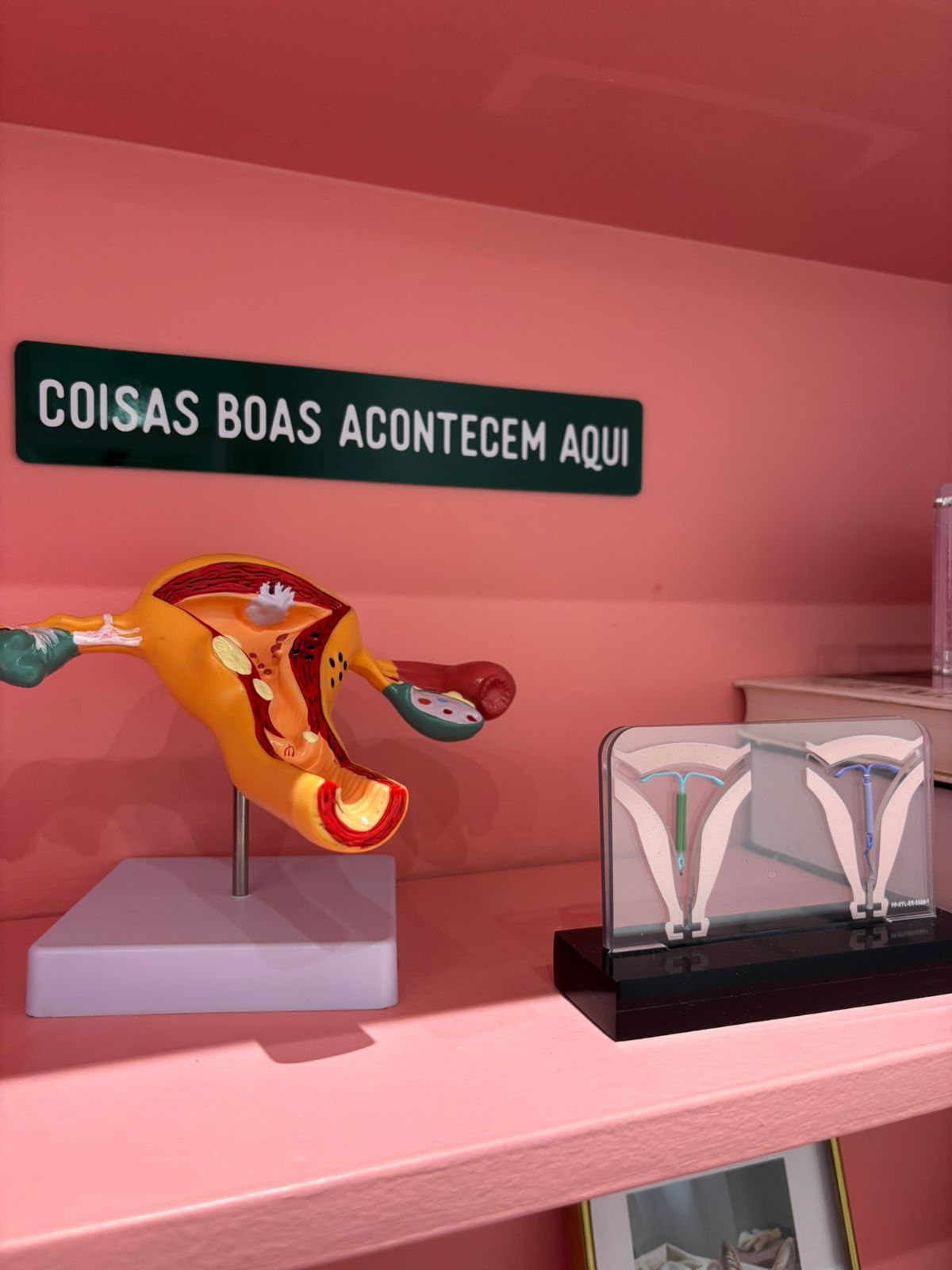 Brenda Rios Ribeiro-1