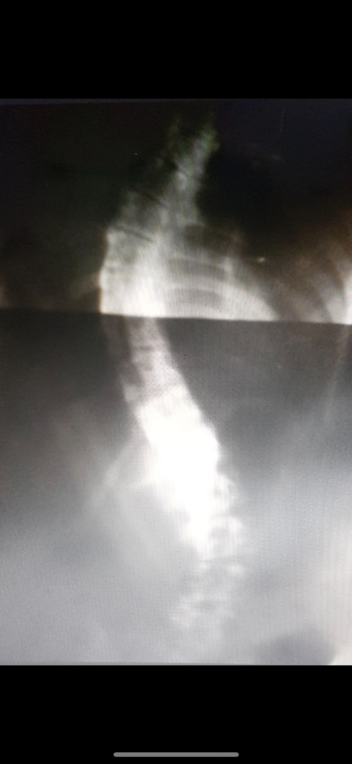 Priscilla Borges De Sousa -6