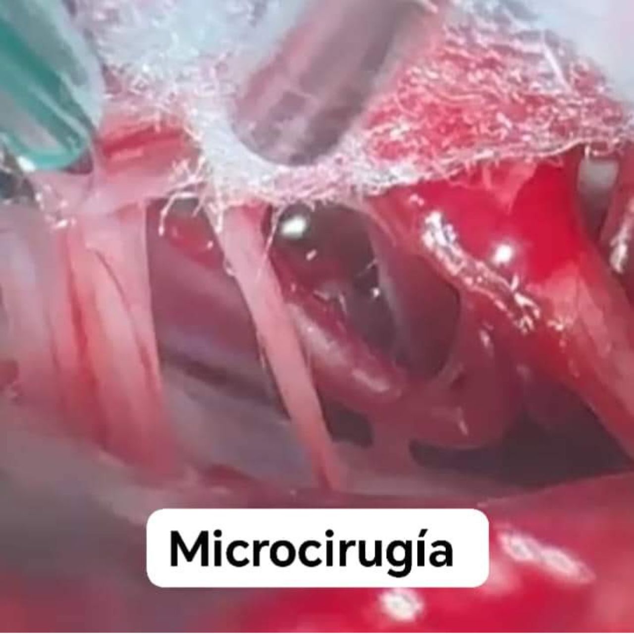 David Tafur Muñoz-1294