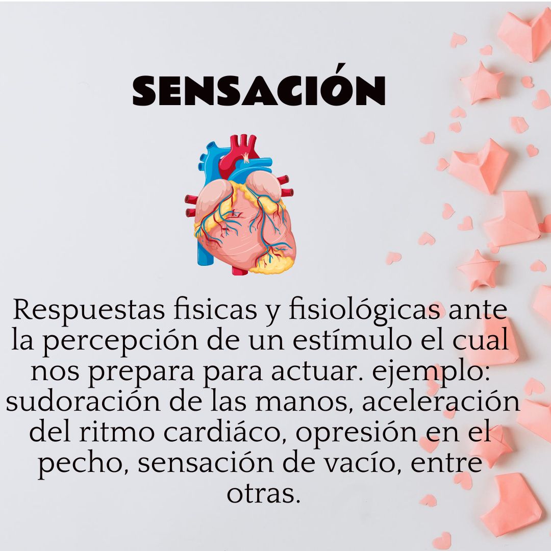 Ángela Mireya Páez Chávez-30