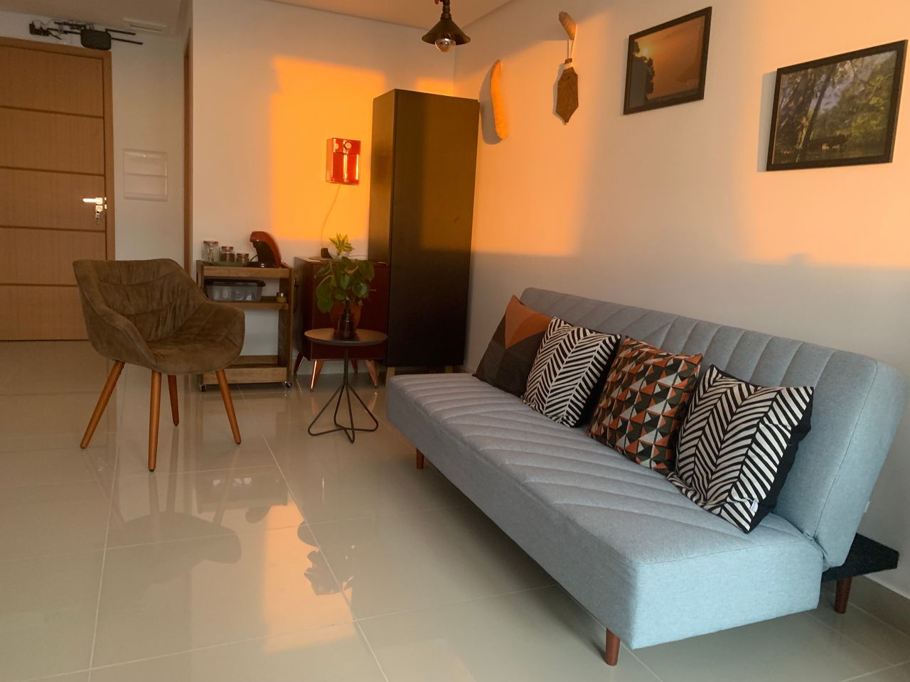 Carlos Fabricio Fernandes Brazão-2