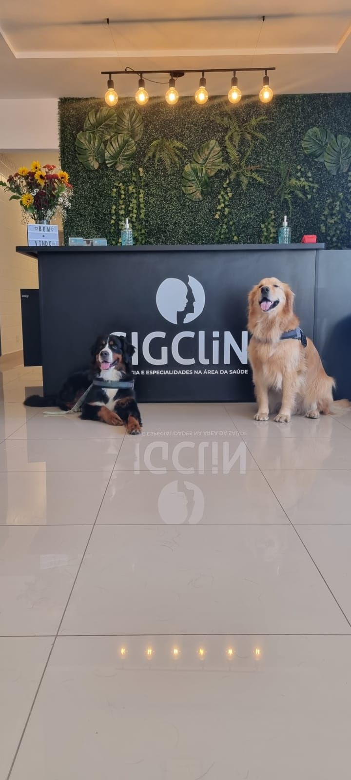 Fabíola Helena Rocha-3