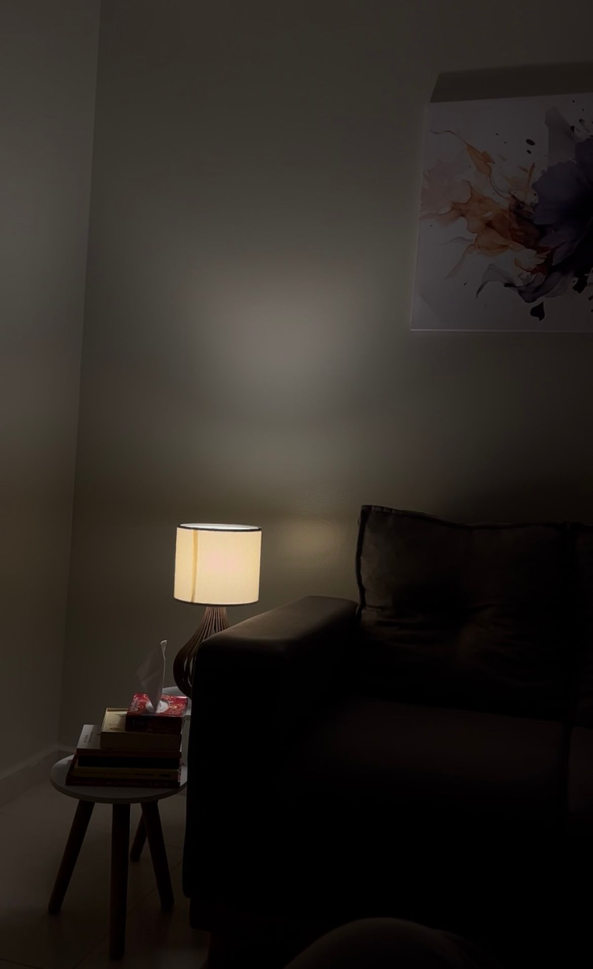 Joao Vitor  Rodrigues De Medeiros -1